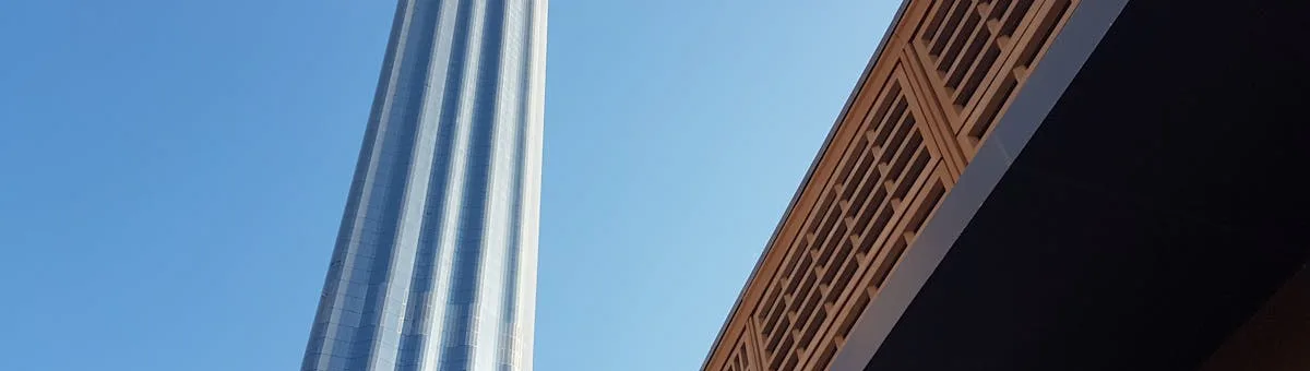 Fresh green basil plants growing in terracotta pots on a sunny kitchen windowsill