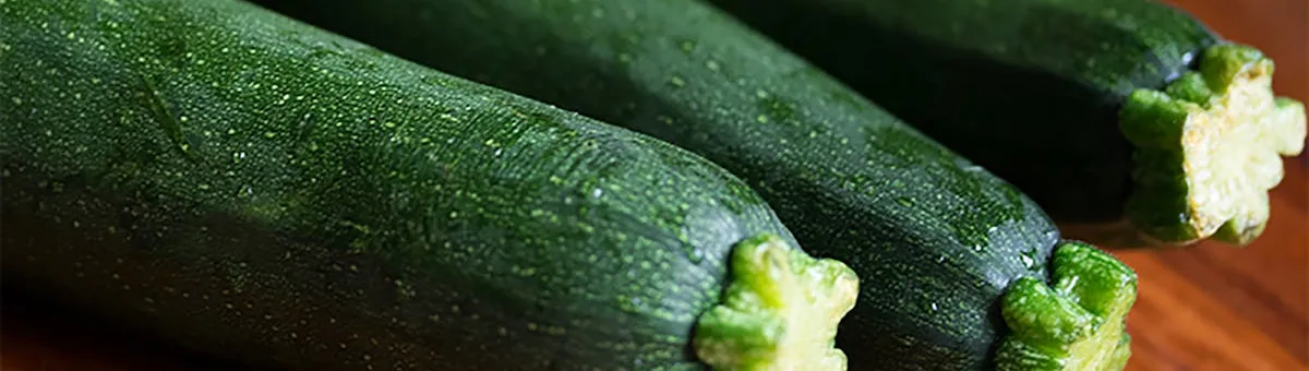 Fresh green zucchini growing in a large fabric grow bag on a sunny patio