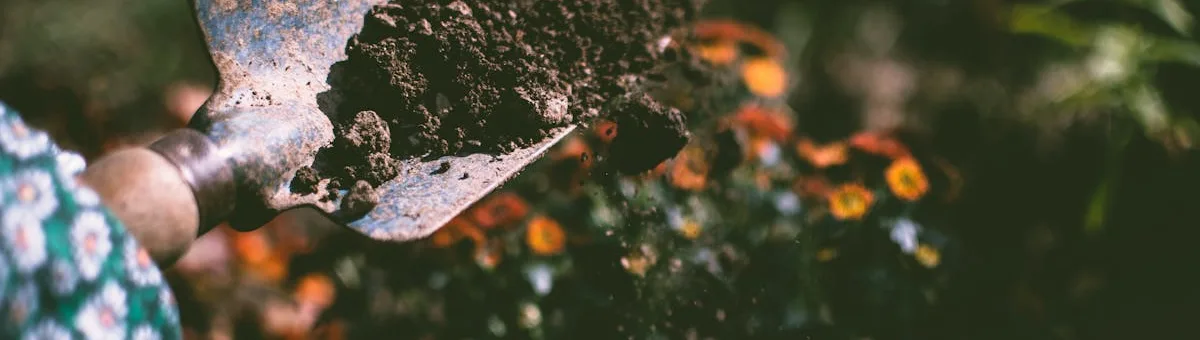 Cedar raised garden beds filled with thriving vegetables in a sunny backyard garden