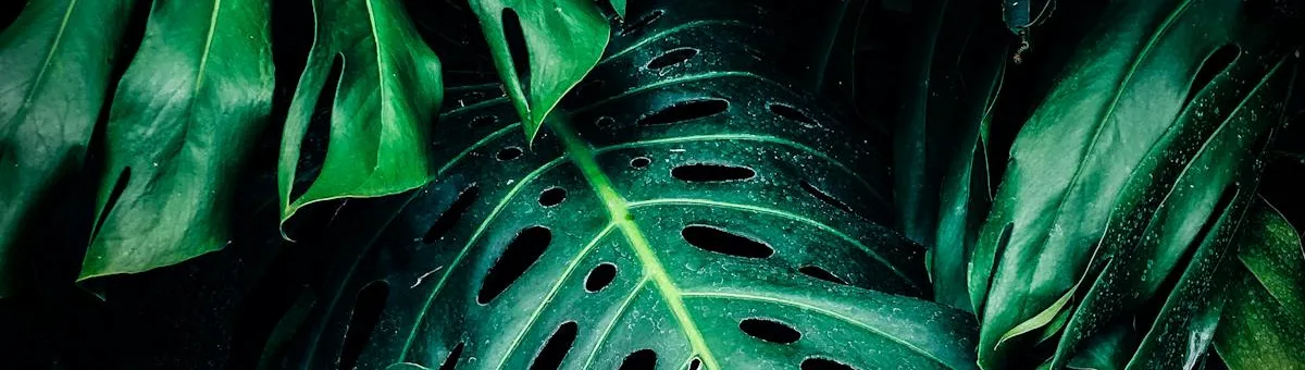 Wooden raised garden bed with herbs and vegetables on a sunny patio