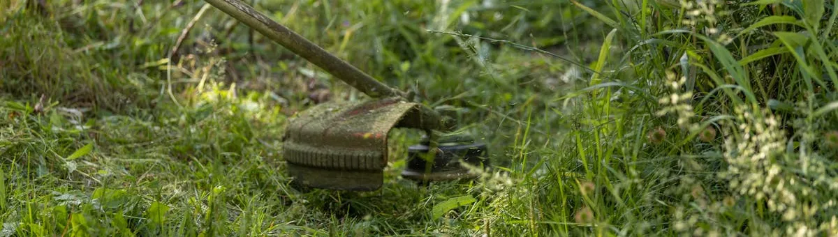 Echo SRM-225 gas string trimmer in use trimming lawn edges