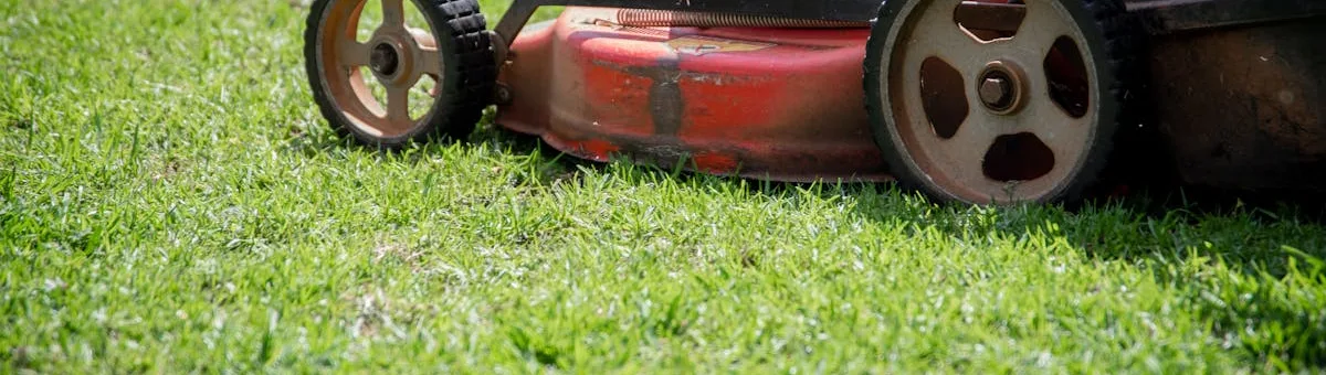 Red and black cordless push lawn mower on green residential lawn