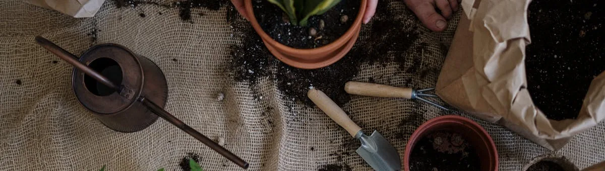 White cottony mealybug infestation on houseplant stems — how to remove mealybugs