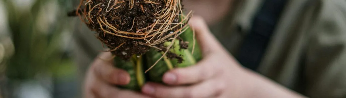 Leaves showing white powdery mildew fungal coating — powdery mildew treatment guide