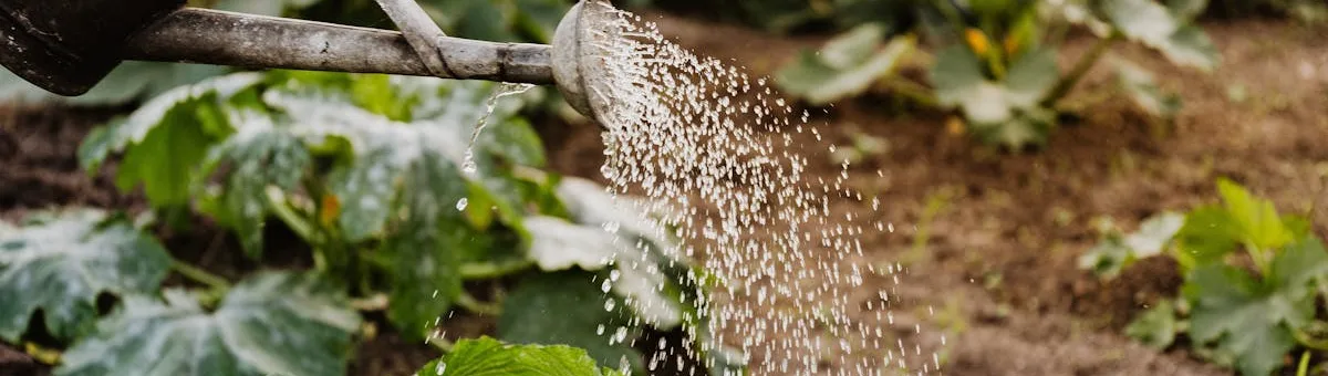 Drip irrigation system watering potted plants on a balcony