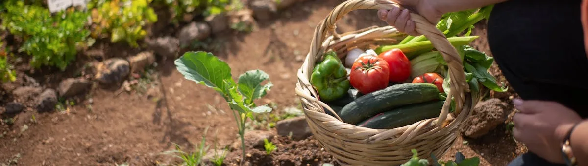 Huerto andaluz soleado con cosecha de verduras frescas