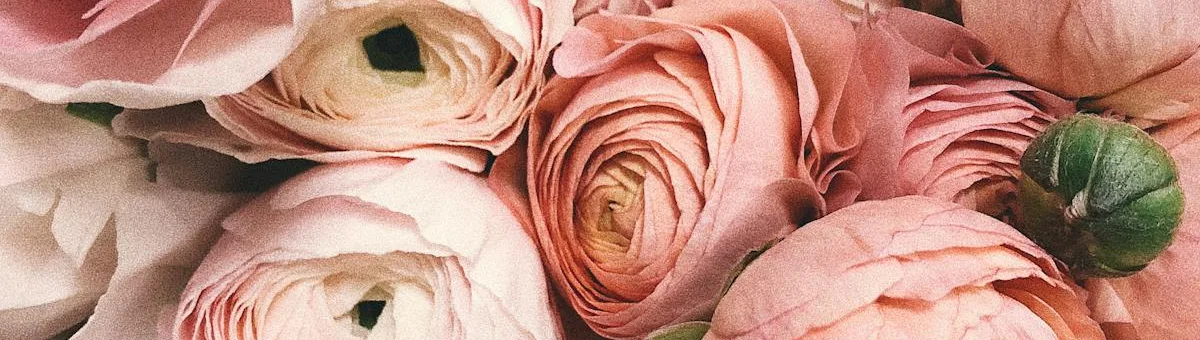 Colorful flowering shrubs in a garden border — butterfly bush, hydrangea and roses in bloom