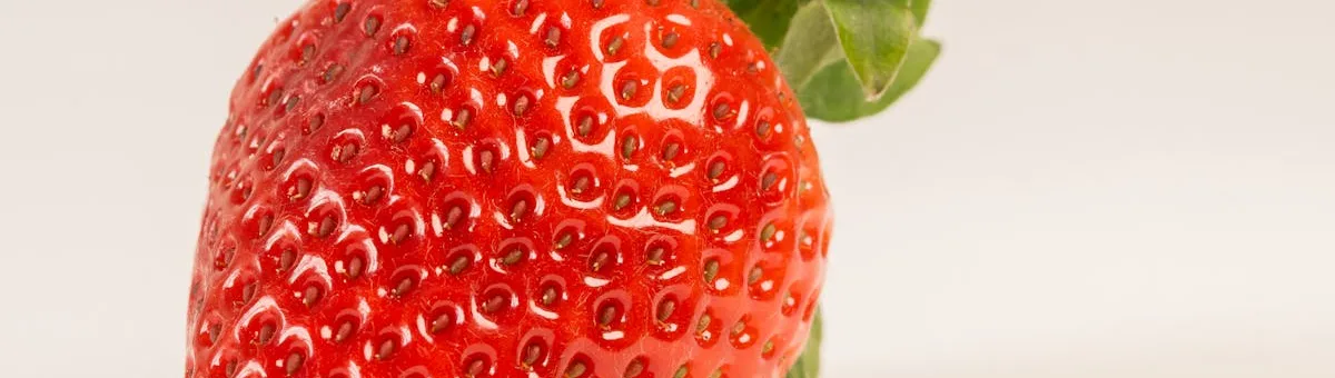 Ripe red strawberries hanging from a container planter on a sunny porch