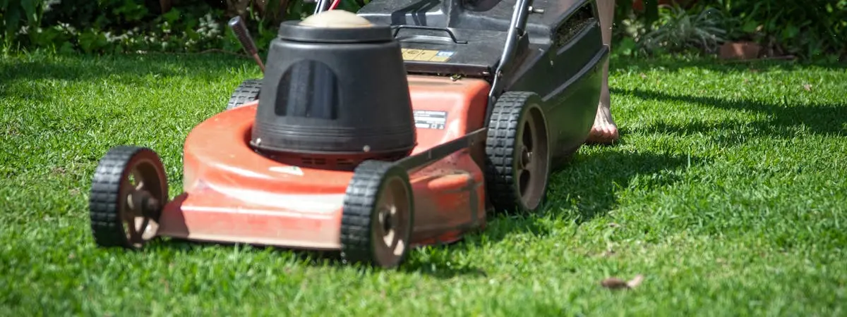 Lawn mower cutting green grass in a well-maintained residential garden
