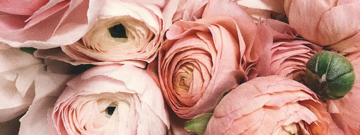 Flores de jardín 2026 guía completa anuales perennes y bulbos