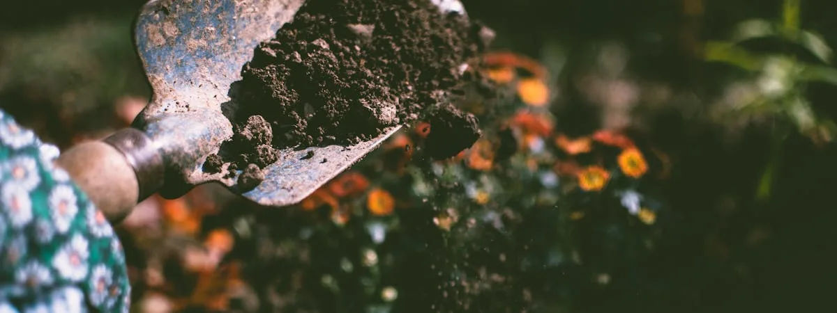 Gardener pruning shrubs and preparing garden beds for spring