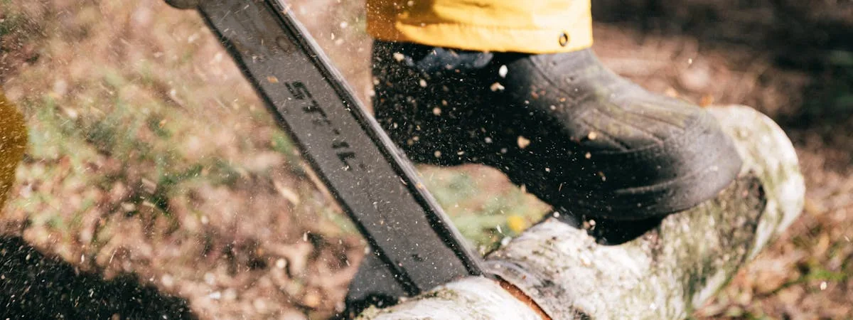 Cleaning a chainsaw bar and chain with a brush and WD-40