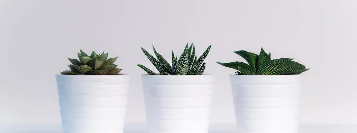 Collection of realistic artificial plants in modern interior setting