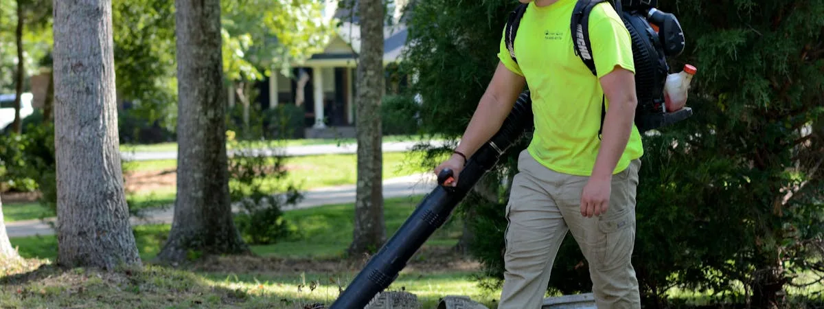 Black+Decker GW3050 QS sopladora aspiradora de jardín