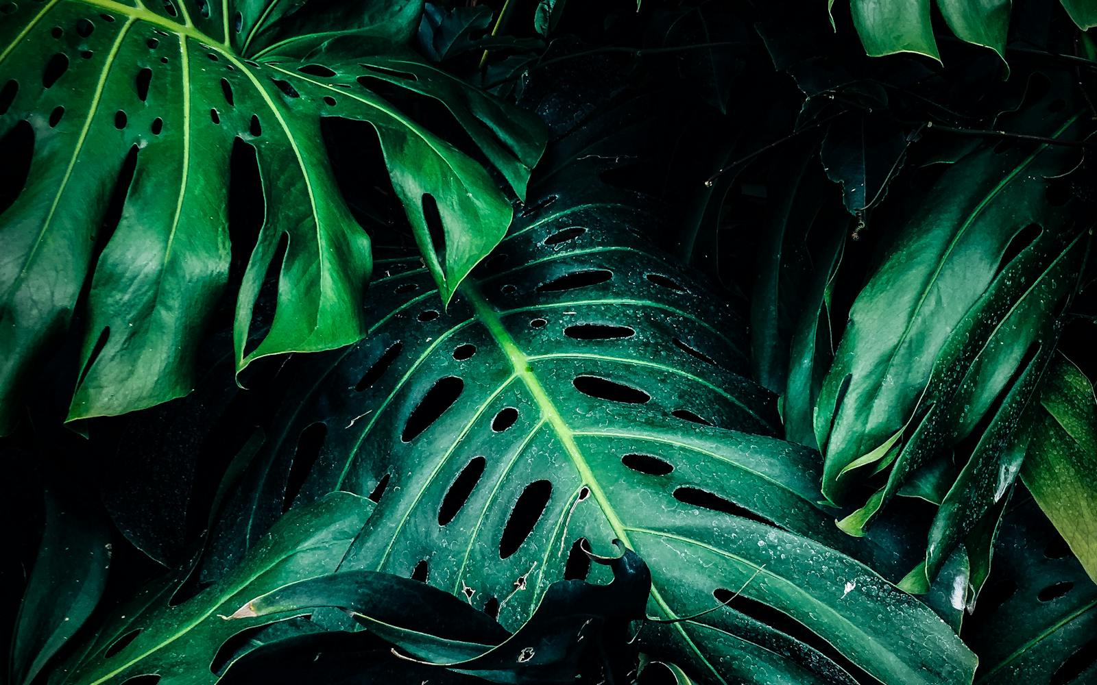 Macetas grandes coloridas en terraza exterior con plantas floridas