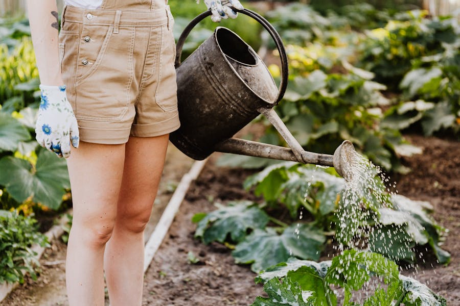 Jardinero usando una sopladora de batería para limpiar hojas en el camino del jardín