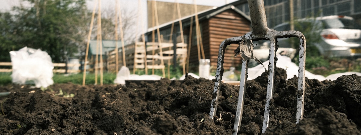 Vegetable garden tool kit laid out on a raised wooden bed with tomato plants