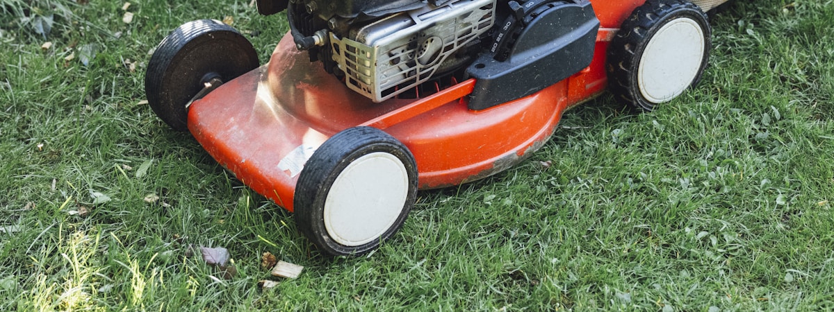 Worx vs EGO battery lawn mower comparison in garden
